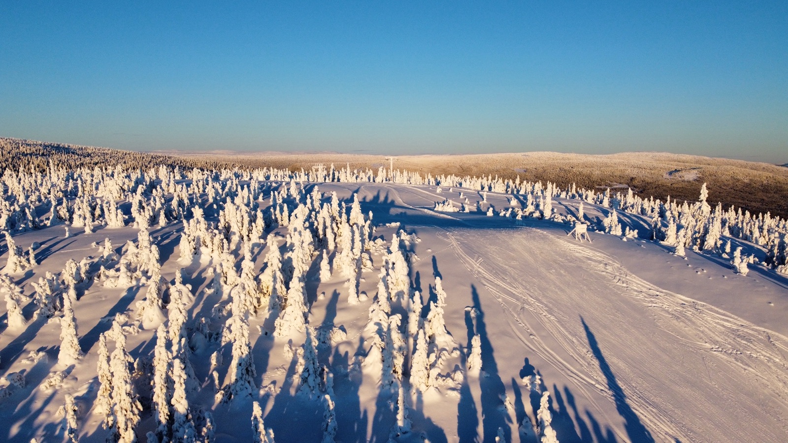 Vinterlandskap formiddag – dronefoto