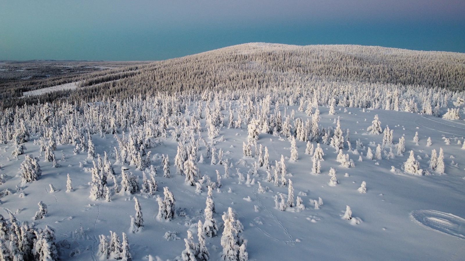 Vintermorgen fra luften – dronefoto